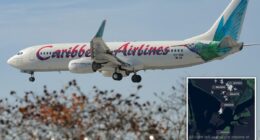 Caribbean Airlines passenger gives birth aboard NY-bound flight â as airport officials suggest crafty name for newborn